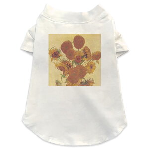 pTVc Iׂ5size ^   zCg fUC T shirt XS S M L XL ybgEFA ybg JWA  Rbg  Sbz@Ђ܂@G 011466