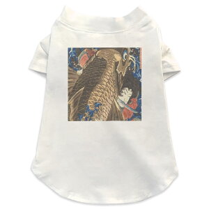 pTVc Iׂ5size ^   zCg fUC T shirt XS S M L XL ybgEFA ybg JWA  Rbg  a@a@ 011479