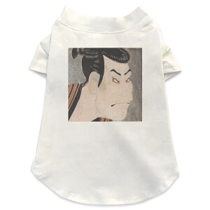 pTVc Iׂ5size ^   zCg fUC T shirt XS S M L XL ybgEFA ybg JWA  Rbg  a@a@̕ 011484