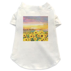 pTVc Iׂ5size ^   zCg fUC T shirt XS S M L XL ybgEFA ybg JWA  Rbg  Ђ܂@G@iF 012156