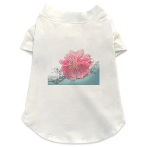 ����pT�V���c �I�ׂ�5size ���^�� ������ ���� �z���C�g �f�U�C�� T shirt XS S M L XL �y�b�g�E�F�A �y�b�g�� �J�W���A�� ������� �R�b�g�� �� �ԁ@���@�� 012175