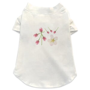 ����pT�V���c �I�ׂ�5size ���^�� ������ ���� �z���C�g �f�U�C�� T shirt XS S M L XL �y�b�g�E�F�A �y�b�g�� �J�W���A�� ������� �R�b�g�� �� ���@�ԁ@�t 012850