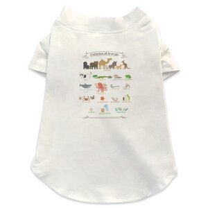 pTVc Iׂ5size ^   zCg fUC T shirt XS S M L XL ybgEFA ybg JWA  Rbg  @@C 013223