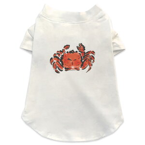 ����pT�V���c �I�ׂ�5size ���^�� ������ ���� �z���C�g �f�U�C�� T shirt XS S M L XL �y�b�g�E�F�A �y�b�g�� �J�W���A�� ������� �R�b�g�� �� ���Ɂ@�C�@�G 013264