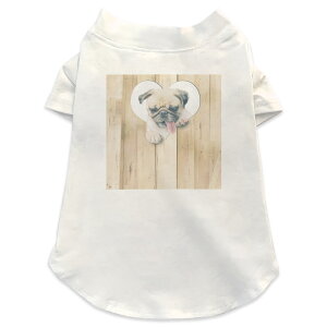 pTVc Iׂ5size ^   zCg fUC T shirt XS S M L XL ybgEFA ybg JWA  Rbg  @pO@n[g 013529