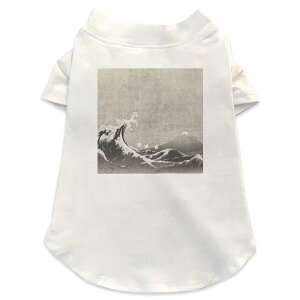 pTVc Iׂ5size ^   zCg fUC T shirt XS S M L XL ybgEFA ybg JWA  Rbg  a@xmR@C 014048