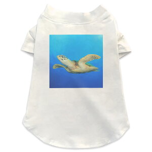 ����pT�V���c �I�ׂ�5size ���^�� ������ ���� �z���C�g �f�U�C�� T shirt XS S M L XL �y�b�g�E�F�A �y�b�g�� �J�W���A�� ������� �R�b�g�� �� �C�@�J���@������ 014050