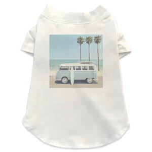 pTVc Iׂ5size ^   zCg fUC T shirt XS S M L XL ybgEFA ybg JWA  Rbg  T[tB@ԁ@ʐ^ 014588