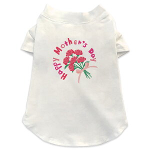 pTVc Iׂ5size ^   zCg fUC T shirt XS S M L XL ybgEFA ybg JWA  Rbg  ̓@o@ԁ@@J[l[V 015277