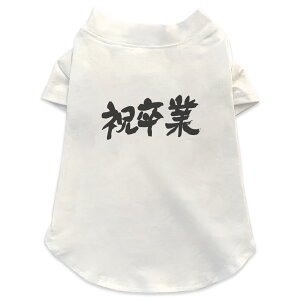 pTVc Iׂ5size ^   zCg fUC T shirt XS S M L XL ybgEFA ybg JWA  Rbg  Ɓ@@{@BM 015502