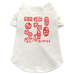 pTVc Iׂ5size ^   zCg fUC T shirt XS S M L XL ybgEFA ybg JWA  Rbg  肪Ƃ@͂񂱁@fR 015519