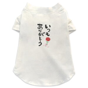 pTVc Iׂ5size ^   zCg fUC T shirt XS S M L XL ybgEFA ybg JWA  Rbg  肪Ƃ@͂񂱁@fR@o@J[l[V 