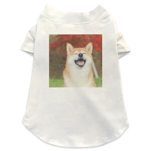 pTVc Iׂ5size ^   zCg fUC T shirt XS S M L XL ybgEFA ybg JWA  Rbg  @킢@Č 015611