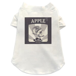 pTVc Iׂ5size ^   zCg fUC T shirt XS S M L XL ybgEFA ybg JWA  Rbg  񂲁@Hו@؁@mN 015744