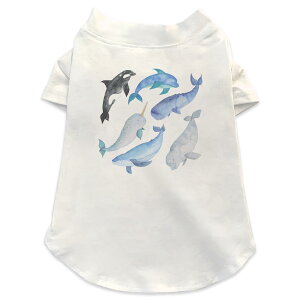 ����pT�V���c �I�ׂ�5size ���^�� ������ ���� �z���C�g �f�U�C�� T shirt XS S M L XL �y�b�g�E�F�A �y�b�g�� �J�W���A�� ������� �R�b�g�� �� ���@�C�@������@�V���` 015826