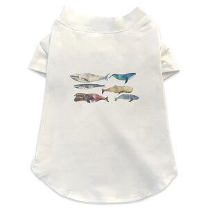 ����pT�V���c �I�ׂ�5size ���^�� ������ ���� �z���C�g �f�U�C�� T shirt XS S M L XL �y�b�g�E�F�A �y�b�g�� �J�W���A�� ������� �R�b�g�� �� ���@�C�@������@�V���` 015833