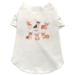 pTVc Iׂ5size ^   zCg fUC T shirt XS S M L XL ybgEFA ybg JWA  Rbg  @R[M[ 016231