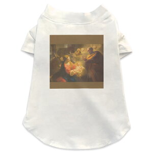 pTVc Iׂ5size ^   zCg fUC T shirt XS S M L XL ybgEFA ybg JWA  Rbg  G 016391