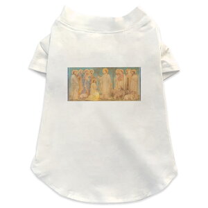 pTVc Iׂ5size ^   zCg fUC T shirt XS S M L XL ybgEFA ybg JWA  Rbg  G 016451