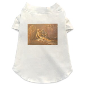 pTVc Iׂ5size ^   zCg fUC T shirt XS S M L XL ybgEFA ybg JWA  Rbg  G@LXg 016459