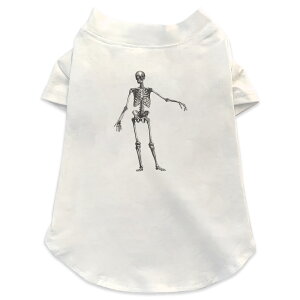 pTVc Iׂ5size ^   zCg fUC T shirt XS S M L XL ybgEFA ybg JWA  Rbg  nEB@z[ A@[@KCRc@z