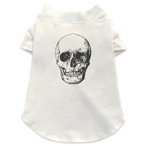 pTVc Iׂ5size ^   zCg fUC T shirt XS S M L XL ybgEFA ybg JWA  Rbg  nEB@z[ [@A@z[ 017488