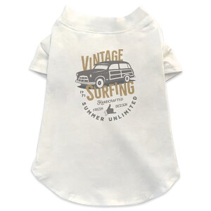 pTVc Iׂ5size ^   zCg fUC T shirt XS S M L XL ybgEFA ybg JWA  Rbg  蕨 ԁ@Be[W@g 017528