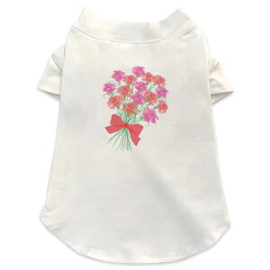 pTVc Iׂ5size ^   zCg fUC T shirt XS S M L XL ybgEFA ybg JWA  Rbg  J[l[V@̓ J[l[V@̓ 01