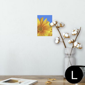 |X^[ EH[XebJ[ V[XebJ[  89×127mm L ʐ^ tHg  CeA  @ wall sticker poster 001397 Ђ܂