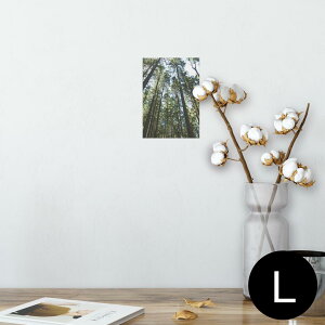|X^[ EH[XebJ[ V[XebJ[  89×127mm L ʐ^ tHg  CeA  @ wall sticker poster 002581 iF@i@ʐ^