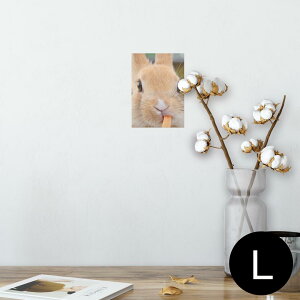 |X^[ EH[XebJ[ V[XebJ[  89×127mm L ʐ^ tHg  CeA  @ wall sticker poster 002807 @@ʐ^