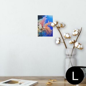 |X^[ EH[XebJ[ V[XebJ[  89×127mm L ʐ^ tHg  CeA  @ wall sticker poster 003341 C@ʐ^@iF@i