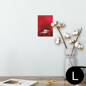 |X^[ EH[XebJ[ V[XebJ[  89×127mm L ʐ^ tHg  CeA  @ wall sticker poster 005136 ԁ@wց@KN