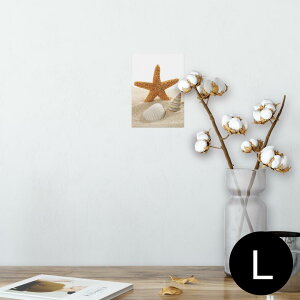 |X^[ EH[XebJ[ V[XebJ[  89×127mm L ʐ^ tHg  CeA  @ wall sticker poster 009536 Lk@C@ʐ^