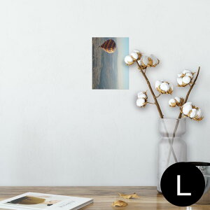 |X^[ EH[XebJ[ V[XebJ[  89×127mm L ʐ^ tHg  CeA  @ wall sticker poster 009683 C@i@ʐ^