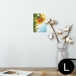 |X^[ EH[XebJ[ V[XebJ[  89×127mm L ʐ^ tHg  CeA  @ wall sticker poster 011440 ԁ@Ђ܂@ʐ^
