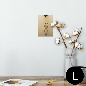 |X^[ EH[XebJ[ V[XebJ[  89×127mm L ʐ^ tHg  CeA  @ wall sticker poster 011441 wց@e@ʐ^