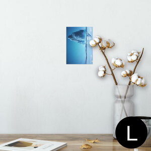 |X^[ EH[XebJ[ V[XebJ[  89×127mm L ʐ^ tHg  CeA  @ wall sticker poster 014978 iF@R@i@CXg@_@C