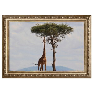 t[dl|X^[EH[XebJ[ EH[XebJ[ V[XebJ[ I[ht[2 A0 A1 A2 A3 B0 B1 B2 B3 ʐ^ tHg  CeA   wall sticker poster