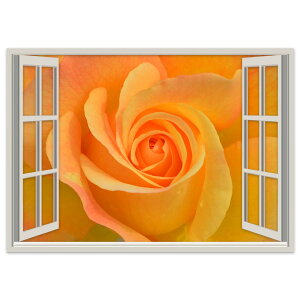 �I�ׂ�T�C�Y�I���d�l�|�X�e�b�J�[ �E�H�[���X�e�b�J�[ �V�[�����X�e�b�J�[ ���� A0 A1 A2 A3 A4 A5 B0 B1 B2 B3 B4 B5 �ʐ^ �t�H�g �� �C���e���A ������� �������� wall sticker poster 023998 �{�@�� �ԁ@