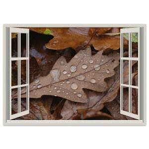 �I�ׂ�T�C�Y�I���d�l�|�X�e�b�J�[ �E�H�[���X�e�b�J�[ �V�[�����X�e�b�J�[ ���� A0 A1 A2 A3 A4 A5 B0 B1 B2 B3 B4 B5 �ʐ^ �t�H�g �� �C���e���A ������� �������� wall sticker poster 023998 �{�@�� �t��