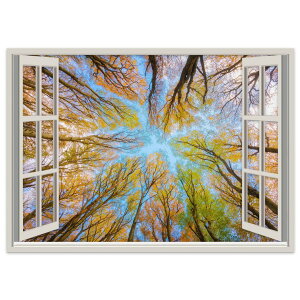 IׂTCYIdl|XebJ[ EH[XebJ[ V[XebJ[  A0 A1 A2 A3 A4 A5 B0 B1 B2 B3 B4 B5 ʐ^ tHg  CeA   wall sticker poster 023998 {@ X