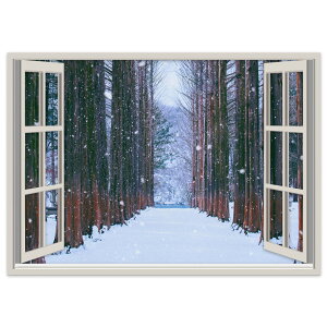 IׂTCYIdl|XebJ[ EH[XebJ[ V[XebJ[  A0 A1 A2 A3 A4 A5 B0 B1 B2 B3 B4 B5 ʐ^ tHg  CeA   wall sticker poster t@i@~  03