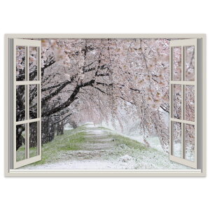 IׂTCYIdl|XebJ[ EH[XebJ[ V[XebJ[  A0 A1 A2 A3 A4 A5 B0 B1 B2 B3 B4 B5 ʐ^ tHg  CeA   wall sticker poster t@i@ 