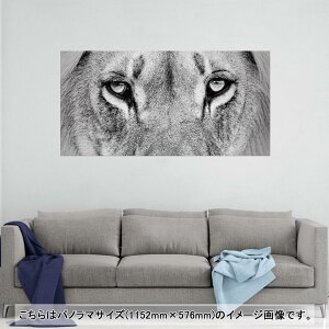 |X^[ EH[XebJ[ |XebJ[ pm}TCY |X^[XebJ[ V[XebJ[  1152mm×576mm ʐ^ tHg  CeA   wall sticker poster 001051 C