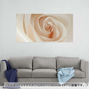|X^[ EH[XebJ[ |XebJ[ pm}TCY |X^[XebJ[ V[XebJ[  1152mm×576mm ʐ^ tHg  CeA   wall sticker poster 001322 ԁ@