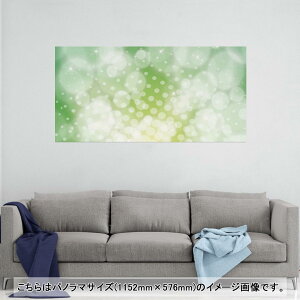 |X^[ EH[XebJ[ |XebJ[ pm}TCY |X^[XebJ[ V[XebJ[  1152mm×576mm ʐ^ tHg  CeA   wall sticker poster 001809 ͗l