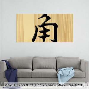 |X^[ EH[XebJ[ |XebJ[ pm}TCY |X^[XebJ[ V[XebJ[  1152mm×576mm ʐ^ tHg  CeA   wall sticker poster 003028 