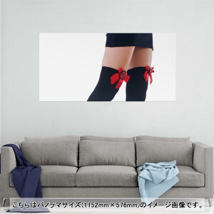 |X^[ EH[XebJ[ |XebJ[ pm}TCY |X^[XebJ[ V[XebJ[  1152mm×576mm ʐ^ tHg  CeA   wall sticker poster 003378 N[