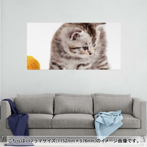 |X^[ EH[XebJ[ |XebJ[ pm}TCY |X^[XebJ[ V[XebJ[  1152mm×576mm ʐ^ tHg  CeA   wall sticker poster 006228 ʐ^